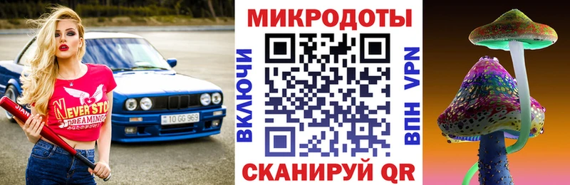 kraken как зайти  Тимашёвск  Псилоцибиновые грибы GOLDEN TEACHER 